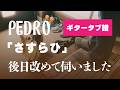 PEDRO - さすらひ  ギタータブ譜