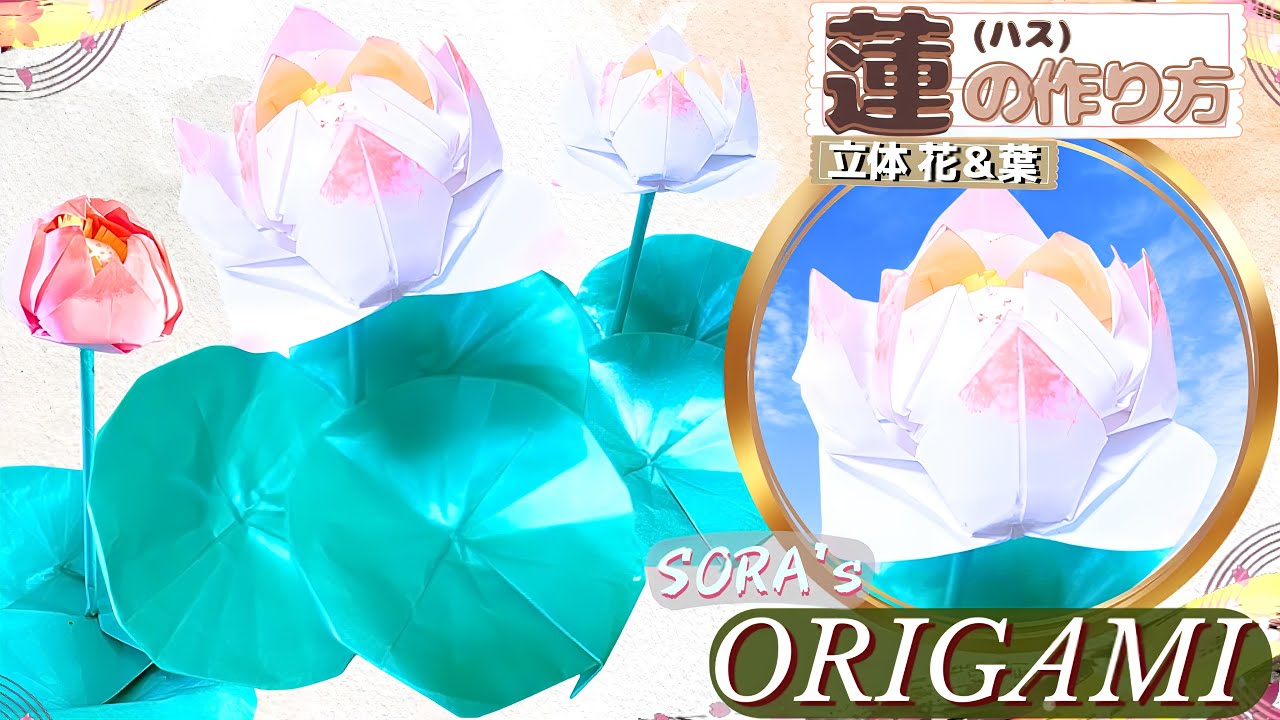蓮 (ハス)の花と葉の折り紙！簡単な平面の折り方と立体の作り方