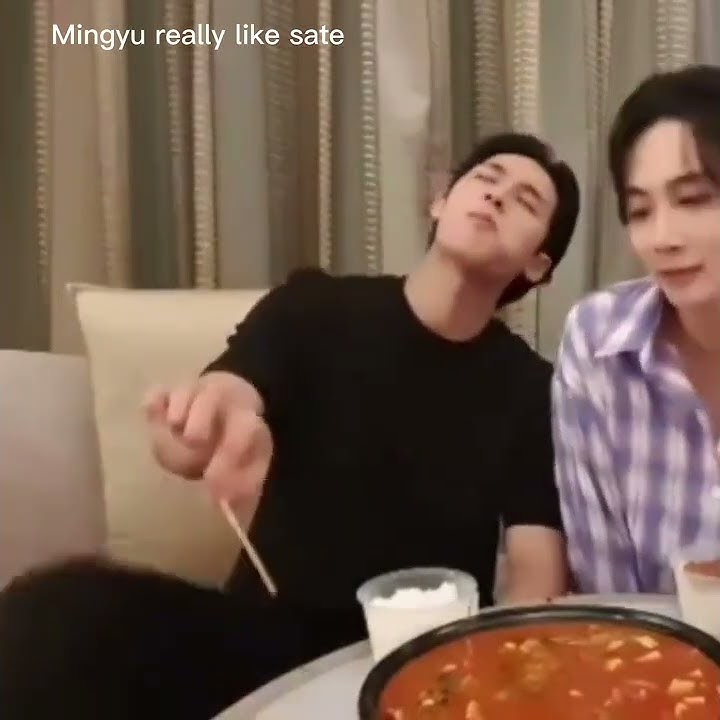 Mingyu really likes sate