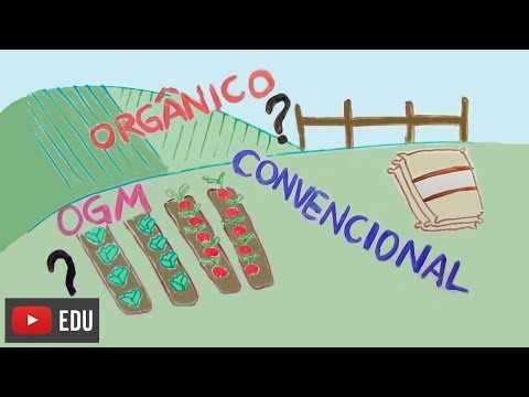 Vídeo: Diferença Entre Não OGM E Orgânico