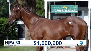 Before They Were Stars: Flightline at The Saratoga Sale (2019)