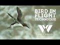 Are you the reason your camera misses bird in flight shots?