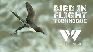 Are you the reason your camera misses bird in flight shots?