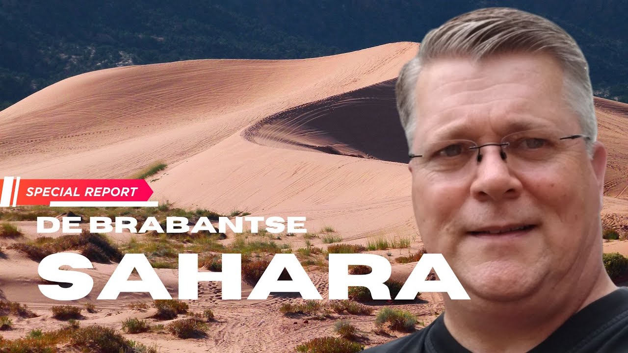 Wat is er te doen en te zien in De Loonse en Drunense Duinen? | Tip