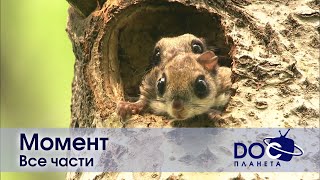 Момент. Все части  Документальный фильм