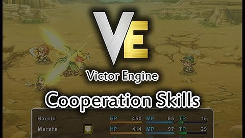 VE - Cooperation Skills