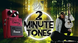 2 Minute Tones - BOSS DM-2W