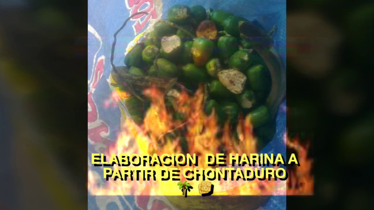 ELABORACIÓN  DE HARINA A PARTIR DE CHONTADURO