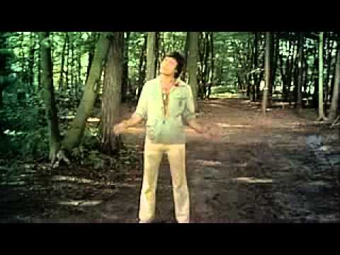 Rob de Nijs - Het  werd zomer (1977)