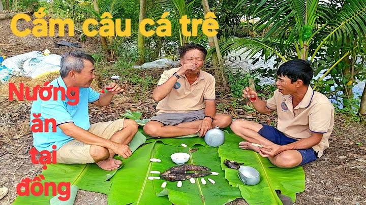 46 | Fishing for grilled catfish to eat in the field | fish