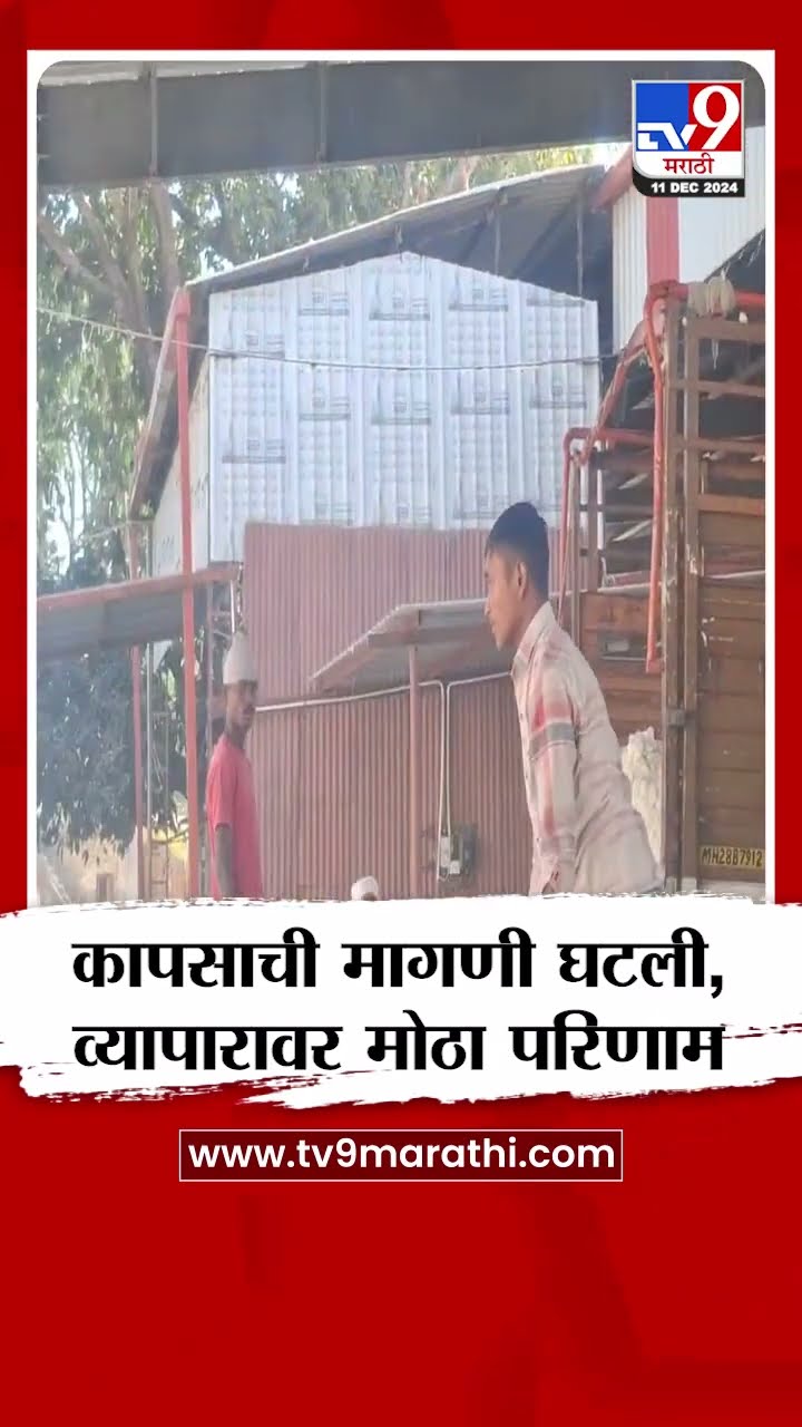 Amravati Cotton News |  अमरावती जिल्ह्यात कापसाची मागणी घटल्याने व्यापारावर मोठा परिणाम |