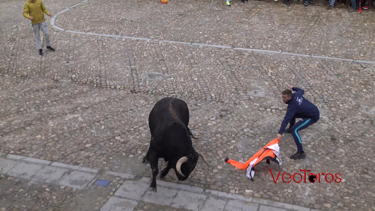 Madrigal de las Altas Torres 2022 Toro de San Nicolas
