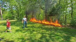 Celebrity Blowing up a leaf pile! (EPIC!) Wealth