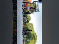 Summer Park Runs