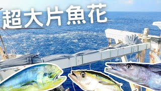 From ocean to table, longline fishing for tuna and Dorado in Taiwan.