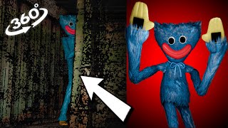 Vr 360 Huggy Wuggy Caught Him At Night On The Beach. What Was He Doing There?