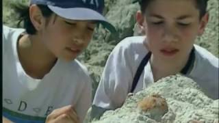 Bill Nye The Science Guy Fossils by Scott Thrope 28,749 views 7 years ago 32 minutes