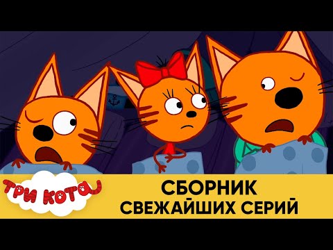 Три Кота | Сборник свежайших серий | Мультфильмы для детей