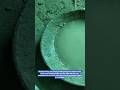 waterproofing and crack proofing and pest control