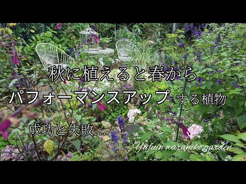 秋の剪定、実はやらなくていいんです