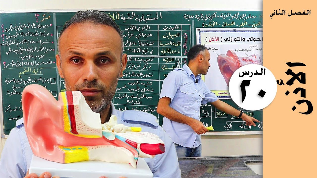 الأذن I سلسلة تلخيصات العلوم - سابع