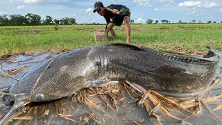 best hand fishing! Catch fish in the fields near the village Technique