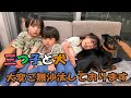 【約1年ぶりの投稿です】3歳半になった三つ子と行く石垣島旅行！vol1