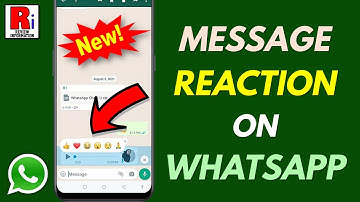 How to Use the Message Reaction Feature on WhatsApp (New Update)