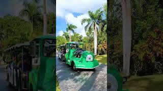 All Inclusive Vacation, Punta Cana, Dominican Republic 🥰 #travel #beach