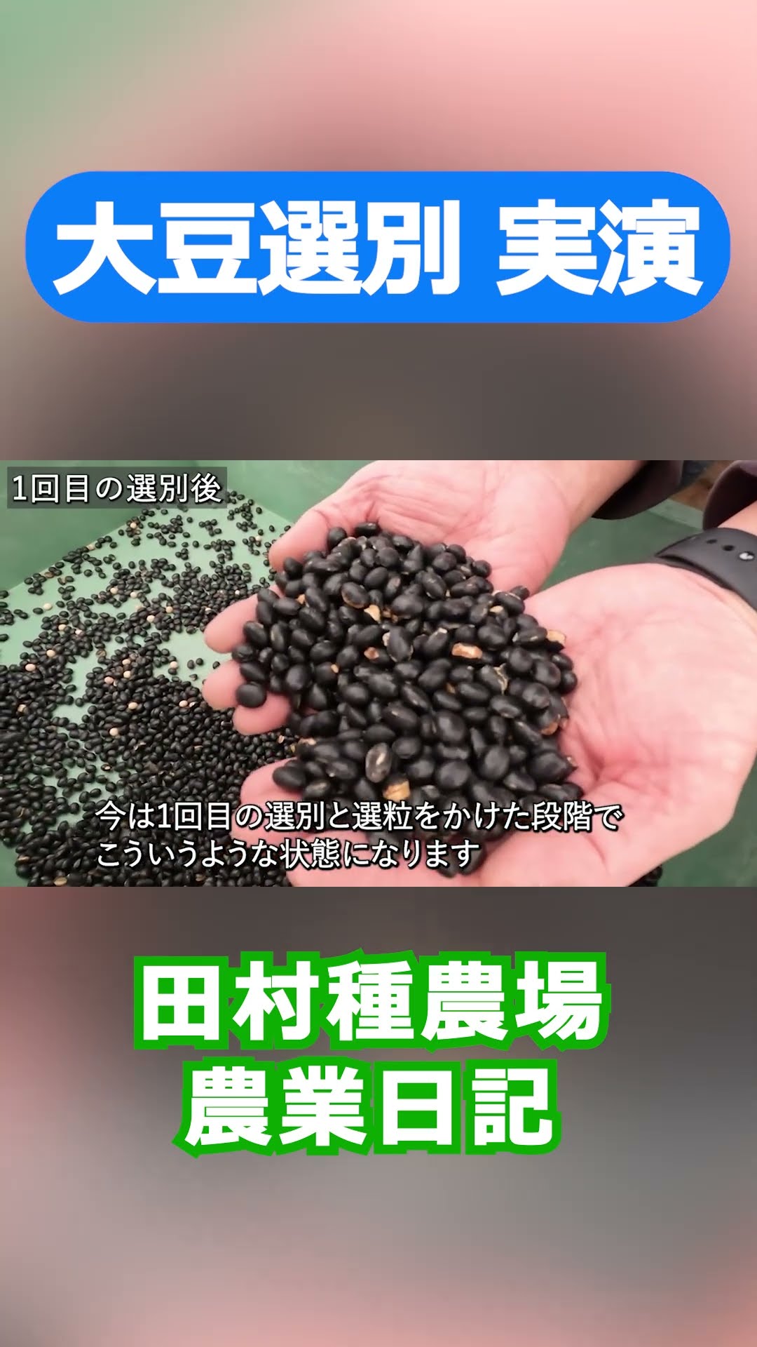 Yanmar Soybean Sorter Short Video - YouTube