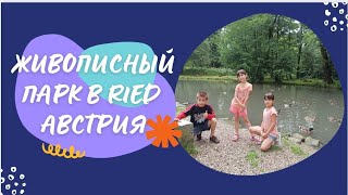 ЖИВОПИСНЫЙ ПАРК В RIED (AВСТРИЯ) КАК В ЛЕСУ 😃