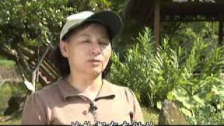 20100814-4《發現》生態調查
