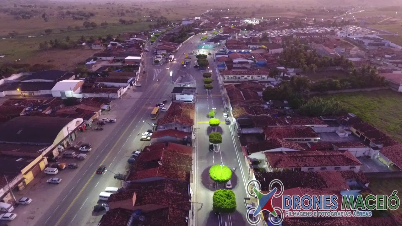 Maribondo Alagoas fonte: i.ytimg.com Fonte: i.ytimg.com
