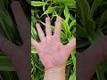 Huwag kayong Kukurap.😲 #funny #youtube #fyp #ka_jordz.