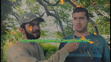 #Сказочный Дагестан-Затерянные Джунглии-Самурский лес)