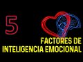 5 factores de inteligencia emocional