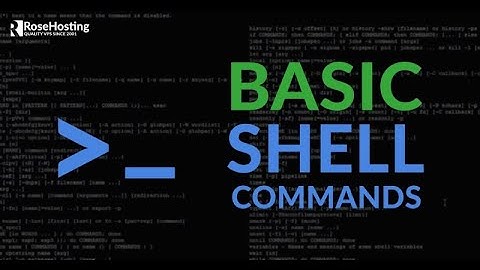 0x01  Shell, permissions