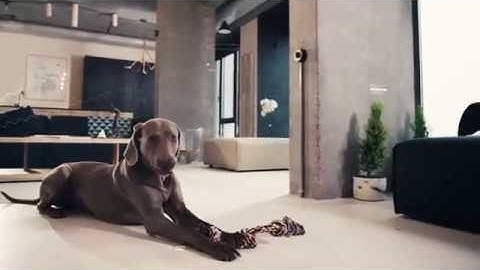 AJAX - THE NEW GENERATION OF WIRELESS SECURITY SYSTEMS