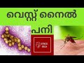 West nile fever malayalam