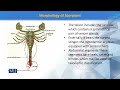 ZOO103 Principles of Systematics Lecture No 143