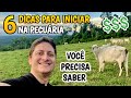 COMO INVESTIR NA PECUÁRIA - DICAS INDISPENSÁVEIS