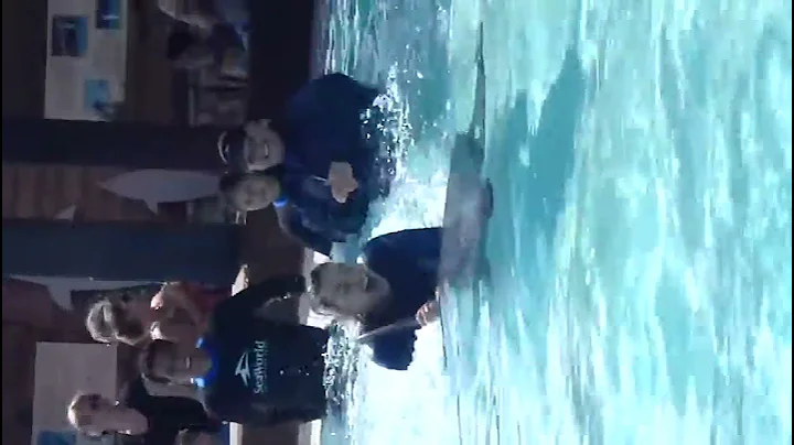 Pamela's Dolphin Ride