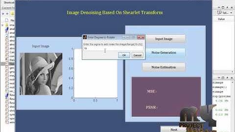 Final Year Projects| SAR Image Despeckling Based on Nonsubsampled Shearlet Transform