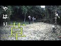 やはり草っ！？お前も居たのか笹…"After all it is grass! ?? Did you also exist? Bamboo ... " English sub