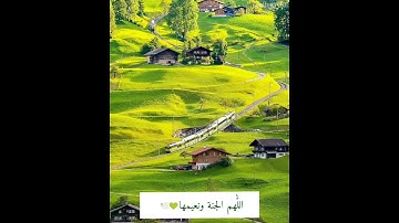 جَنَّاتُ عَدْنٍ يَدْخُلُونَهَا🌱 القارئ غسان الشوربجي