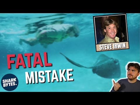 How Did THIS Stingray KILL Steve Irwin?