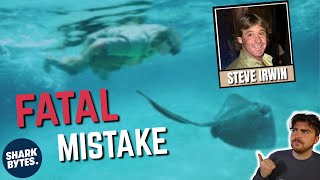 How Did THIS Stingray KILL Steve Irwin? by SHARK BYTES 72,884 views 2 months ago 14 minutes, 47 seconds