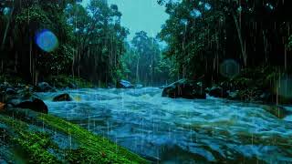 Continuous Rain &amp; Flowing River Sounds 🌿 Deep Ambient White Noise for Sleep, Reading, And Calm