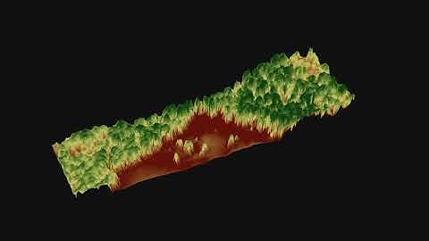 LAS Point Cloud to Raster