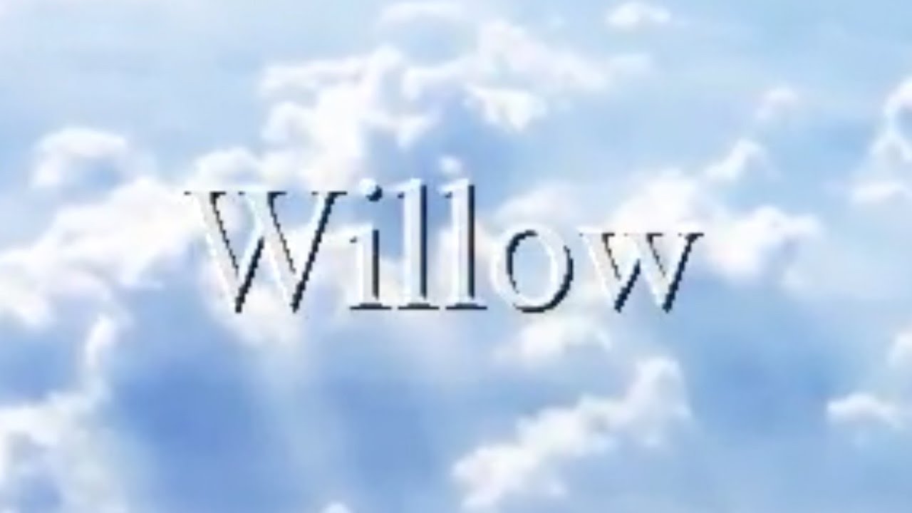 Willow by The Bogart Jones Band